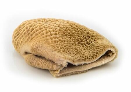 beef_honeycomb-450x317