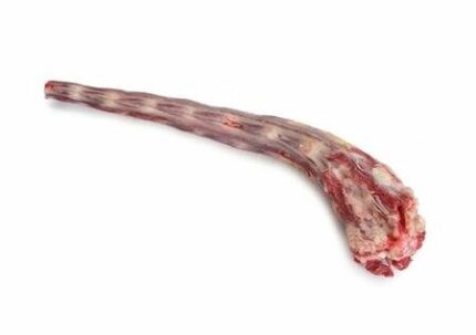 Beef Tail
